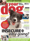Your Dog Magazine